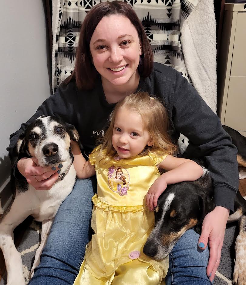 Waukesha Dog Grooming Dog Groomers